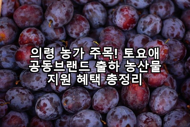 의령 농가 주목! 토요애 공동브랜드 출하 농산물 지원 혜택 총정리